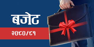 सातै प्रदेशका सरकारको बजेट आज सार्वजनिक हुँदै